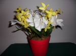 White Lilies / Forsythia